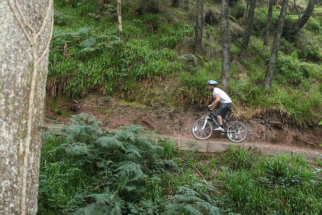 BTT bavaresa5.jpg